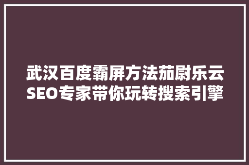 武汉百度霸屏方法茄尉乐云SEO专家带你玩转搜索引擎优化 必应SEO