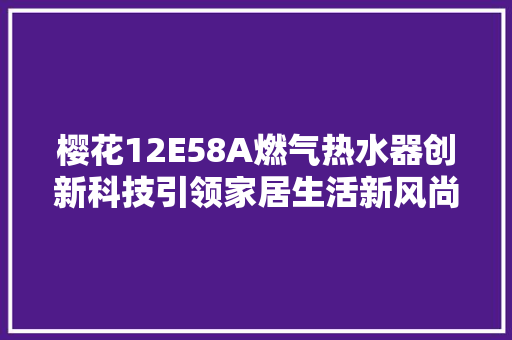 樱花12E58A燃气热水器创新科技引领家居生活新风尚 SEO关键词