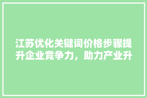 江苏优化关键词价格步骤提升企业竞争力，助力产业升级 SEO关键词