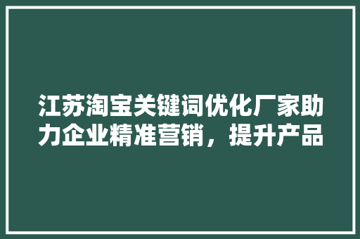 江苏淘宝关键词优化厂家助力企业精准营销，提升产品曝光度 SEO关键词
