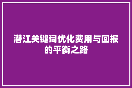 潜江关键词优化费用与回报的平衡之路