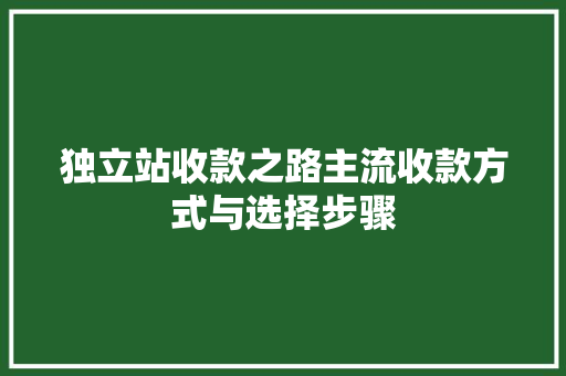独立站收款之路主流收款方式与选择步骤