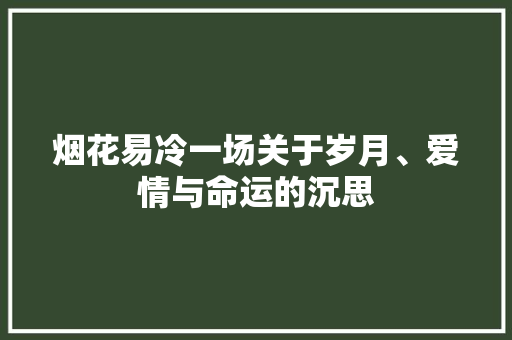 烟花易冷一场关于岁月、爱情与命运的沉思 SEO关键词