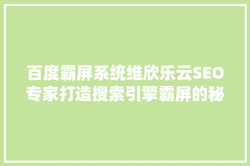 百度霸屏系统维欣乐云SEO专家打造搜索引擎霸屏的秘密武器 百度SEO