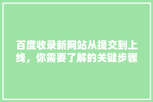 百度收录新网站从提交到上线，你需要了解的关键步骤 网站建设公司