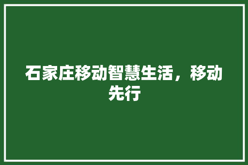 石家庄移动智慧生活,移动先行 搜狗SEO 石家庄移动智慧生活,移动先行 搜狗SEO