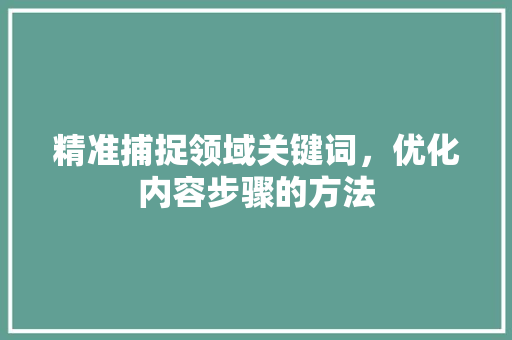 精准捕捉领域关键词，优化内容步骤的方法 网站建设公司