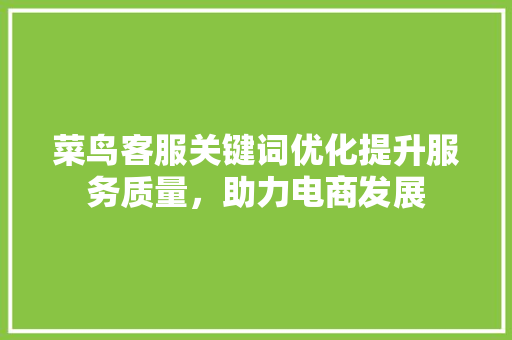 菜鸟客服关键词优化提升服务质量，助力电商发展 SEO关键词
