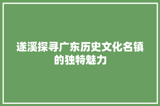 遂溪探寻广东历史文化名镇的独特魅力