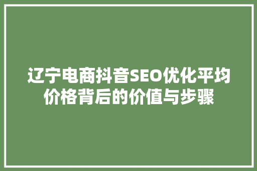 辽宁电商抖音SEO优化平均价格背后的价值与步骤