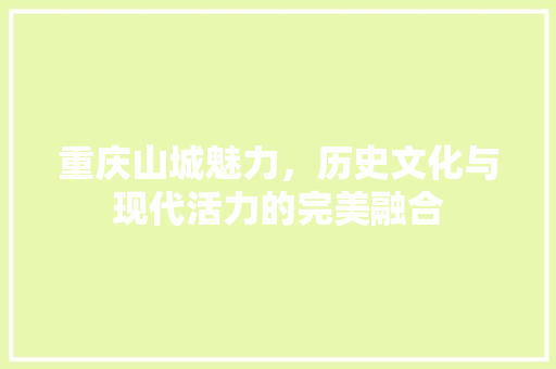 重庆山城魅力，历史文化与现代活力的完美融合