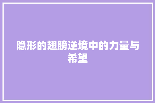 隐形的翅膀逆境中的力量与希望 SEO关键词
