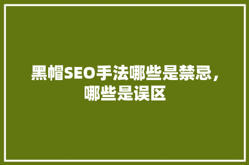 黑帽SEO手法哪些是禁忌，哪些是误区 必应SEO