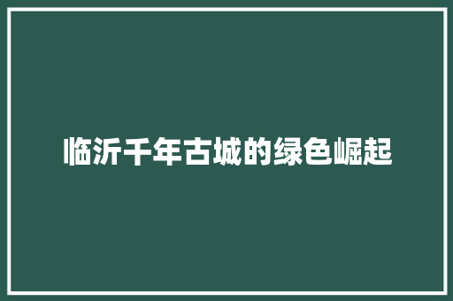 临沂千年古城的绿色崛起 SEO关键词