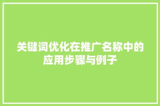 关键词优化在推广名称中的应用步骤与例子 SEO关键词
