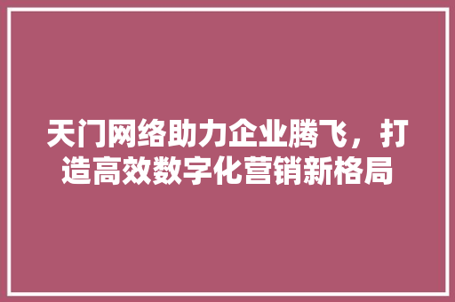 天门网络助力企业腾飞，打造高效数字化营销新格局 SEO关键词