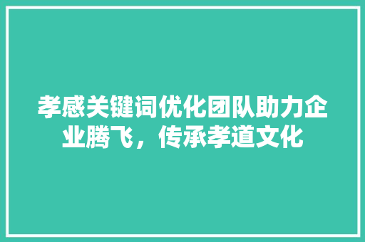 孝感关键词优化团队助力企业腾飞，传承孝道文化