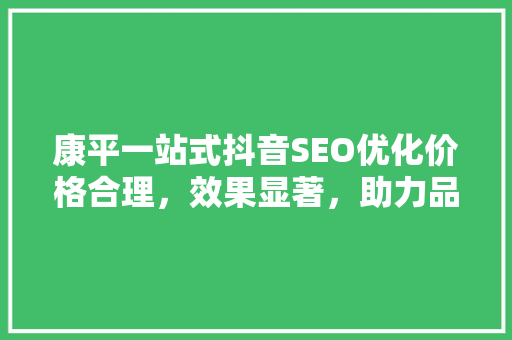 康平一站式抖音SEO优化价格合理，效果显著，助力品牌腾飞 SEO关键词