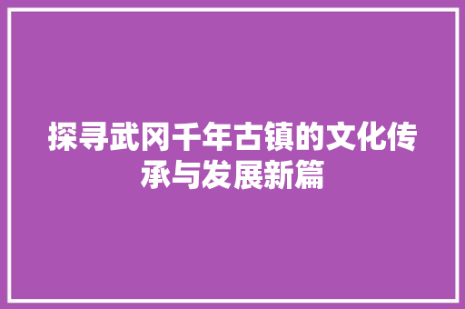 探寻武冈千年古镇的文化传承与发展新篇