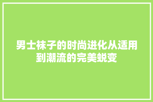 男士袜子的时尚进化从适用到潮流的完美蜕变 百度SEO