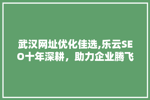 武汉网址优化佳选,乐云SEO十年深耕，助力企业腾飞 必应SEO