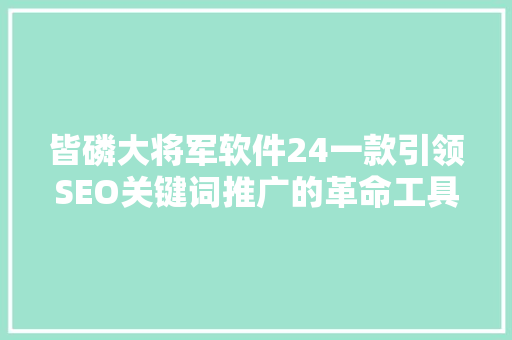 皆磷大将军软件24一款引领SEO关键词推广的革命工具 网站建设公司
