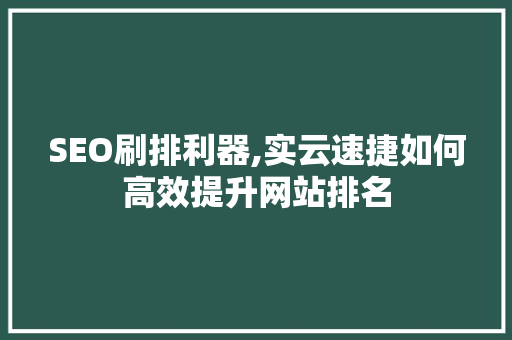 SEO刷排利器,实云速捷如何高效提升网站排名