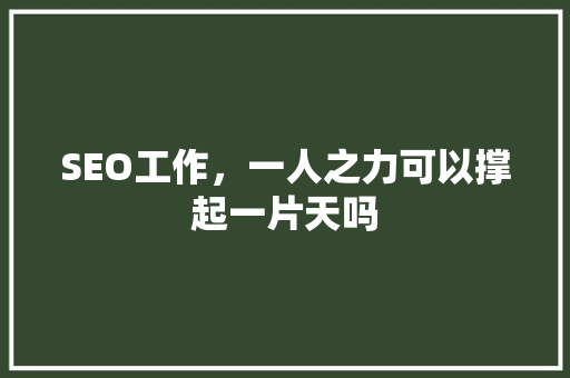 SEO工作，一人之力可以撑起一片天吗