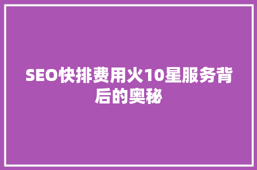 SEO快排费用火10星服务背后的奥秘 SEO关键词