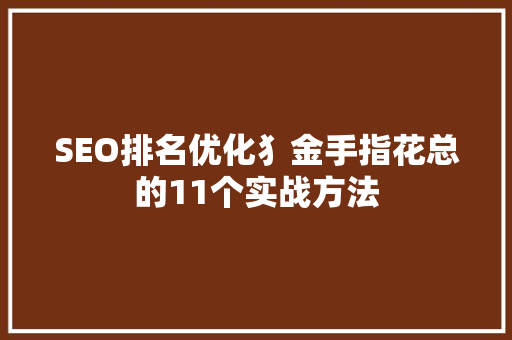 SEO排名优化犭金手指花总的11个实战方法