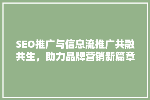 SEO推广与信息流推广共融共生，助力品牌营销新篇章 百度SEO