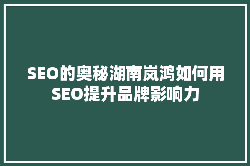 SEO的奥秘湖南岚鸿如何用SEO提升品牌影响力