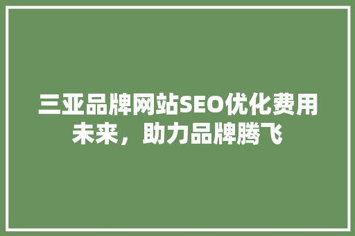 三亚品牌网站SEO优化费用未来，助力品牌腾飞