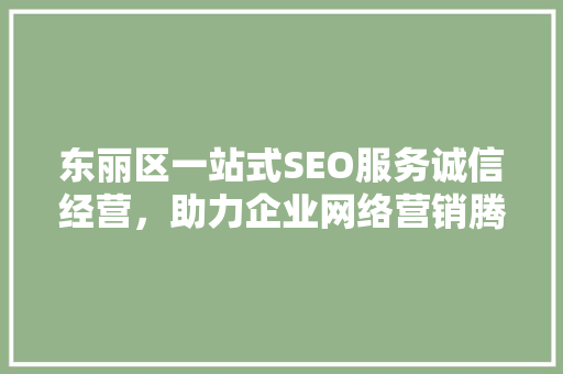 东丽区一站式SEO服务诚信经营，助力企业网络营销腾飞