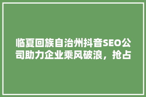 临夏回族自治州抖音SEO公司助力企业乘风破浪，抢占流量高地