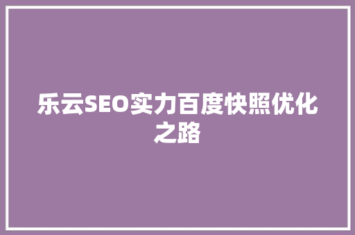 乐云SEO实力百度快照优化之路 必应SEO