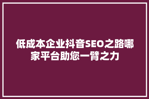 低成本企业抖音SEO之路哪家平台助您一臂之力 百度SEO
