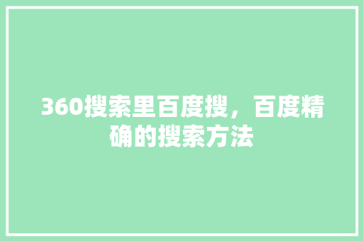 360搜索里百度搜，百度精确的搜索方法 网站建设公司