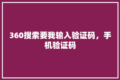 360搜索要我输入验证码，手机验证码 SEO关键词