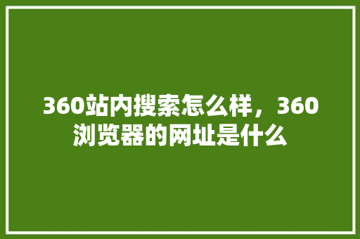360站内搜索怎么样，360浏览器的网址是什么