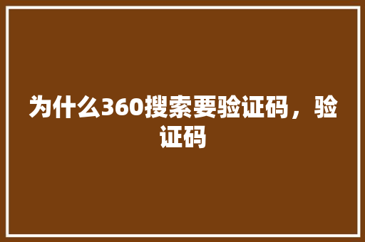 为什么360搜索要验证码，验证码 百度SEO