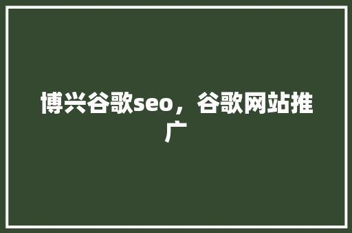 博兴谷歌seo，谷歌网站推广 SEO关键词