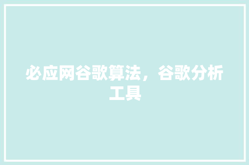 必应网谷歌算法，谷歌分析工具 SEO关键词