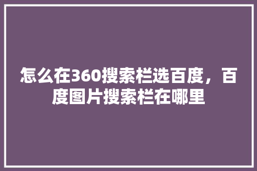 怎么在360搜索栏选百度，百度图片搜索栏在哪里 搜狗SEO
