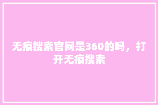 无痕搜索官网是360的吗，打开无痕搜索 必应SEO
