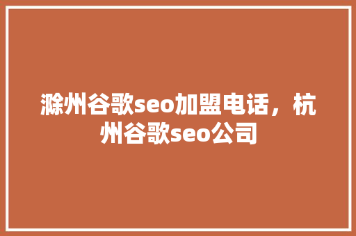 滁州谷歌seo加盟电话，杭州谷歌seo公司 必应SEO