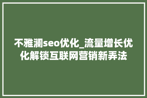 不雅澜seo优化_流量增长优化解锁互联网营销新弄法
