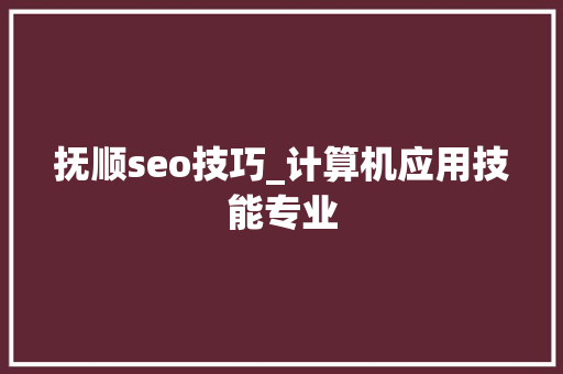 抚顺seo技巧_计算机应用技能专业