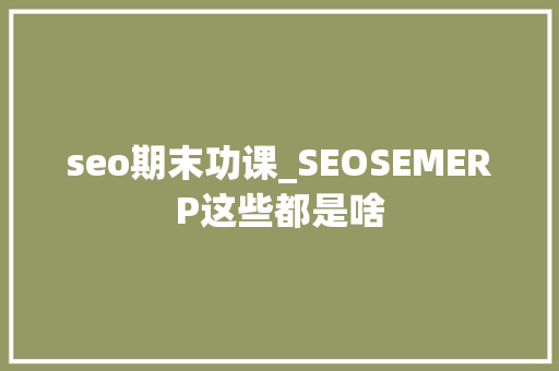 seo期末功课_SEOSEMERP这些都是啥 seo期末功课_SEOSEMERP这些都是啥 网站建设公司