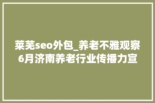 莱芜seo外包_养老不雅观察6月济南养老行业传播力宣告 比较上个月降142